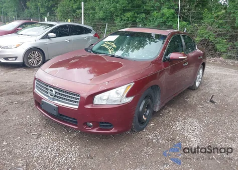 2010 Nissan Maxima 3.5 Sv from USA, damaged, VIN 1N4AA5AP5AC821966